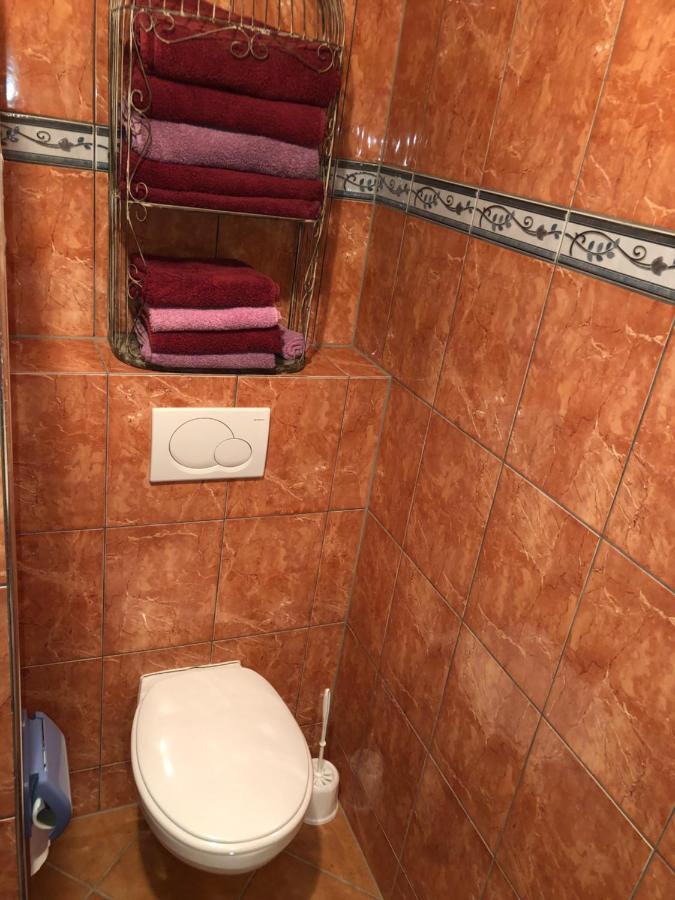 Appartement In Chateau Saint Claude An Der Saone Mantoche Экстерьер фото